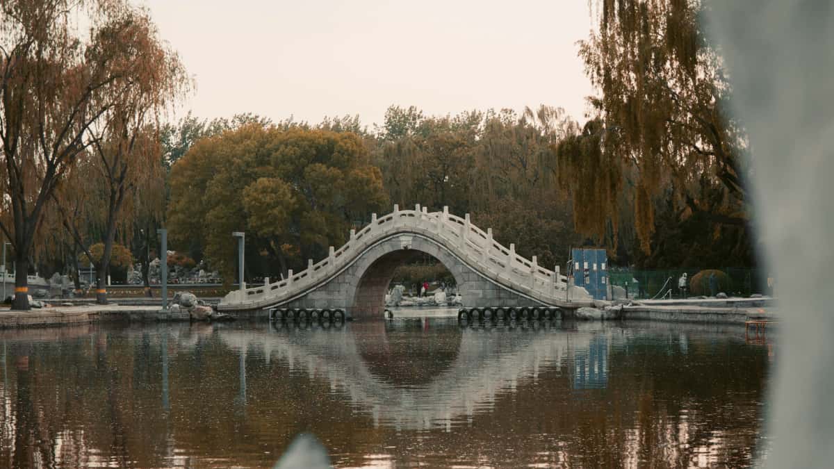 Жеткізу: Jingdong арқылы Болгария брендтеріне қалай жетуге болады?