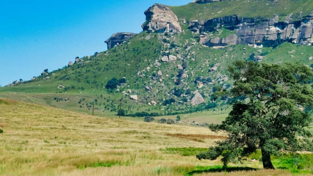 Twitch , (limited drops) , .