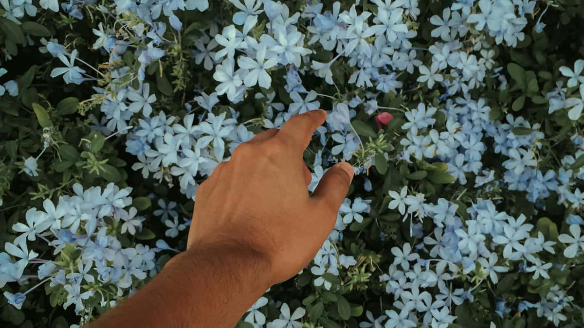 Қазақстандық креаторларға: Bilibili арқылы Румыния брендтеріне қалай жету?