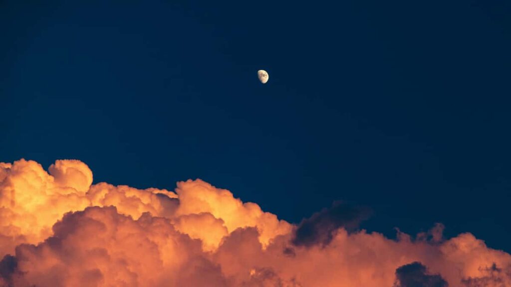 : - LinkedIn , makeup- .