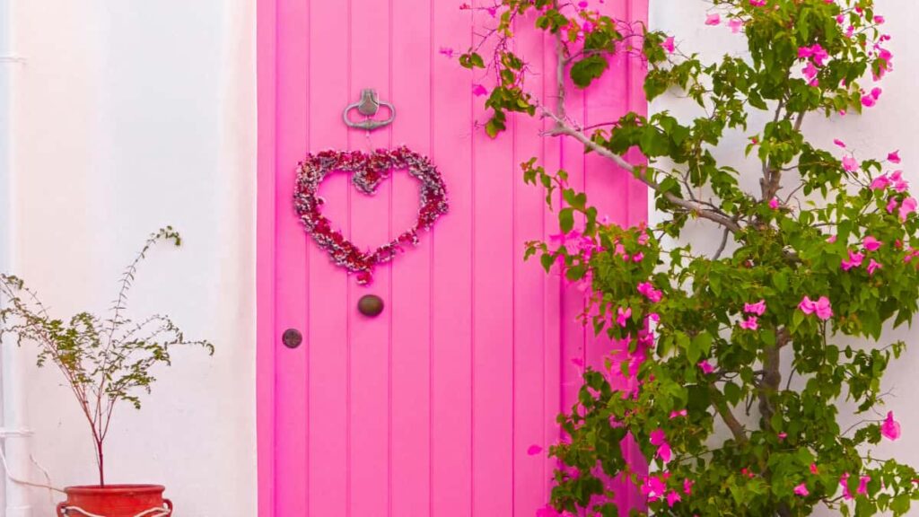 Disney Plus (flat-fee) , .