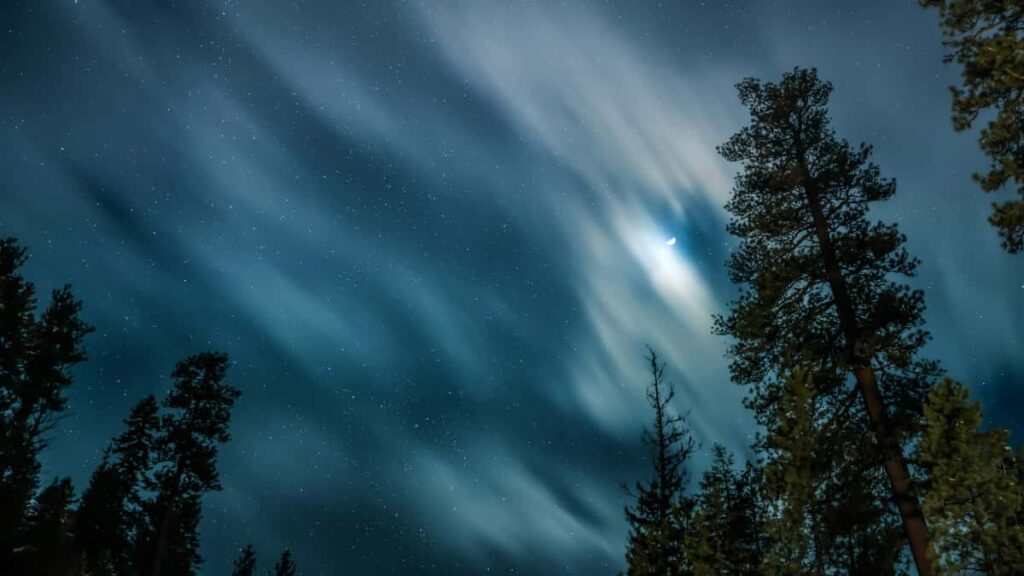 Taobao , behind-the-scenes , TikTok LATAM- .