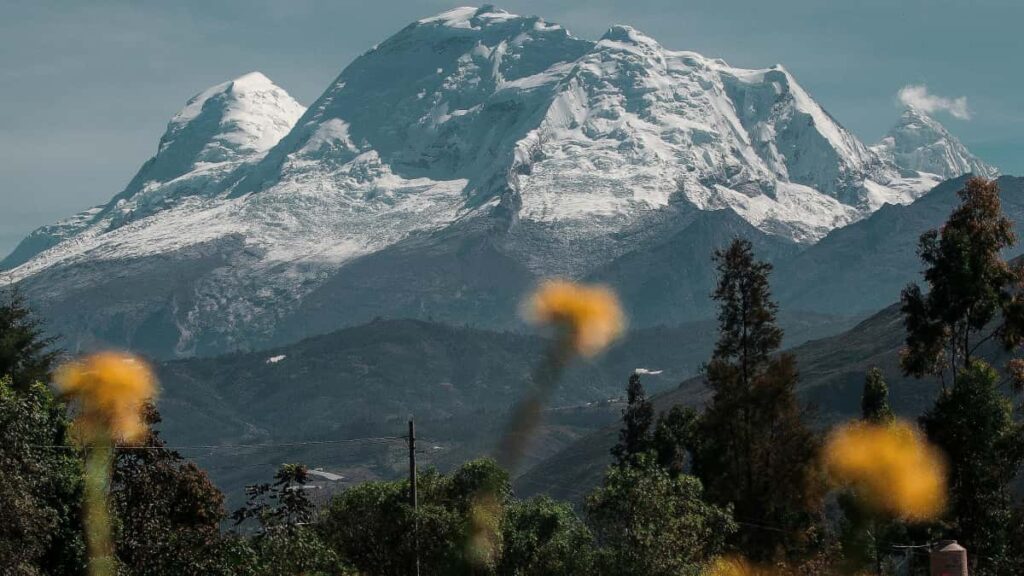 LinkedIn- : , outreach . , -.