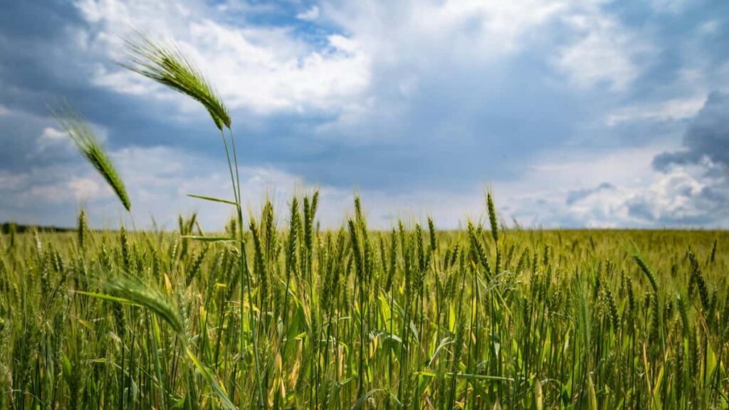 Bilibili , behindthescenes (BTS) , , .