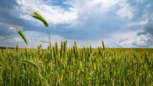 Bilibili , behindthescenes (BTS) , , .