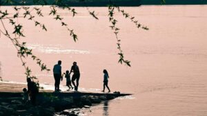 : Qatar eBay- , livestream- .