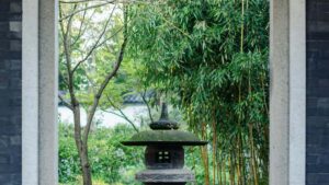 : SoundCloud , , , .