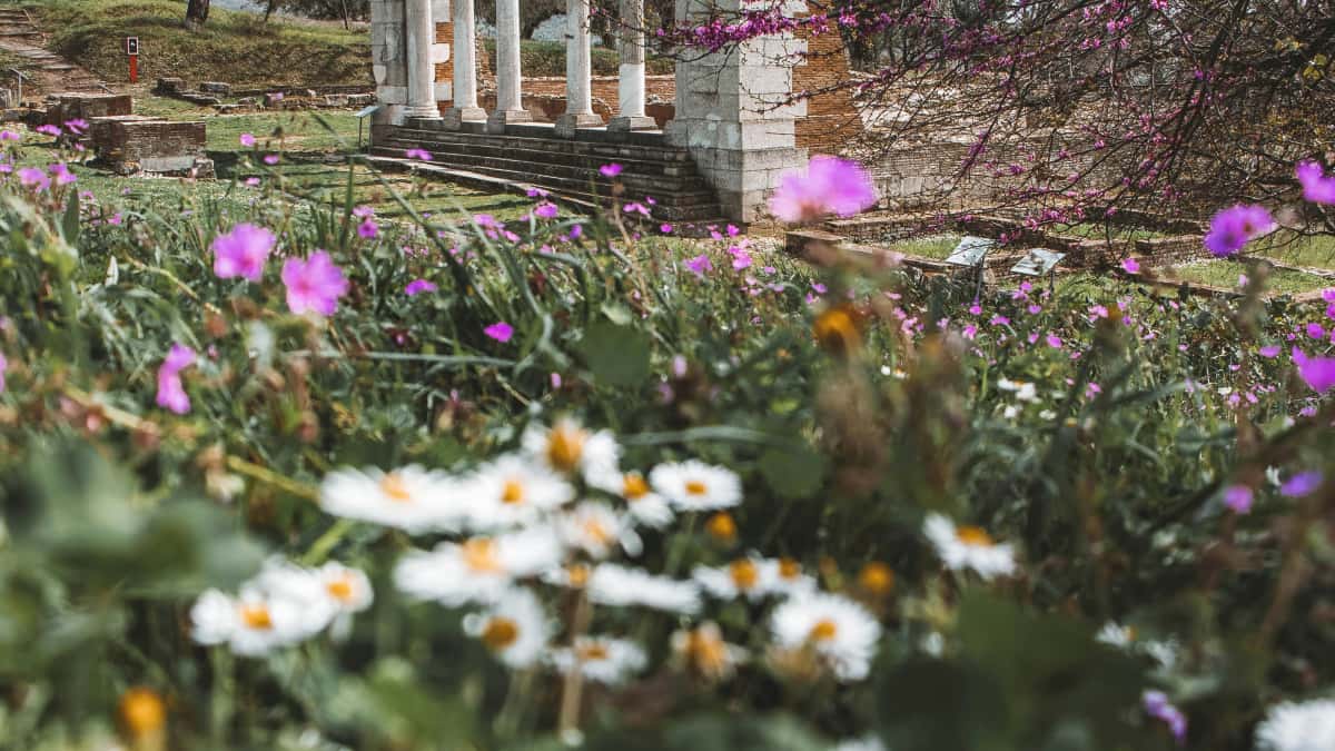 Қазақстандық креаторлар үшін: Douyin‑да Шри‑Ланка брендеріне қалай жету және жасырын жерлерді бөлісу